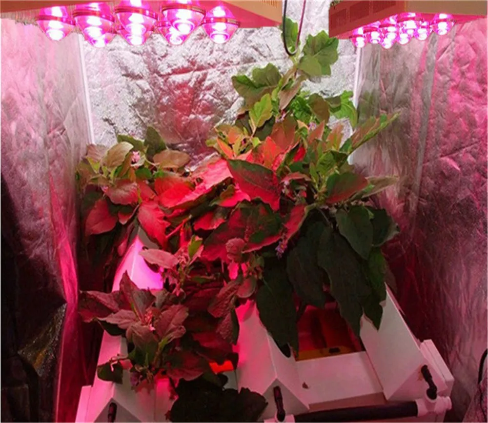 Utilaje agricole vegetale cresc de lumină 50w 100w, 200w, 300w 400w G3 PRO roșu albastru pentru plante de interior 4