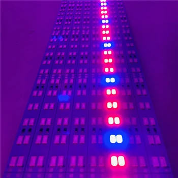 100buc*100cm DC24V Planta cu LED-uri Cresc de Lumină Roșu Albastru 3:1 LED Greu Rigid Bar de Striptease Tub de LED-uri de Lumină Liniare Dublu Rând 5730 144LEDS